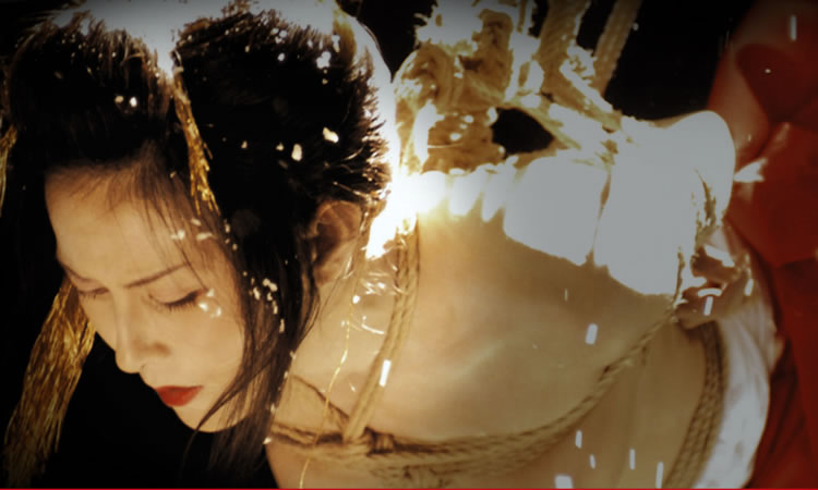 2004日本情色《花与蛇》无删减版-BD1080P-日语中字
