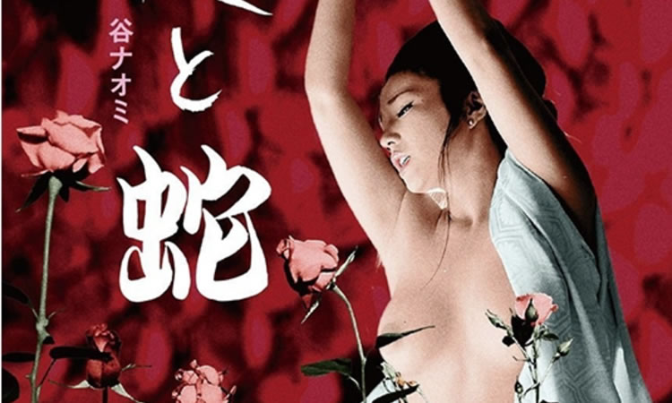 1974日本情色《花与蛇》-BD1080P-日语中字